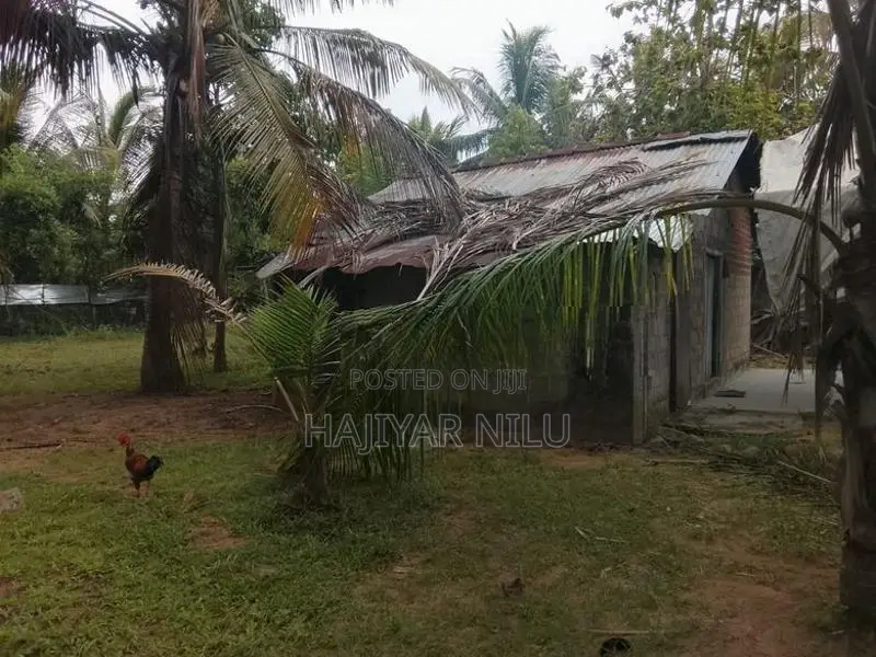 காணி விற்பனைக்கு - Kalmunai