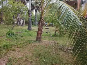 காணி விற்பனைக்கு - Kalmunai