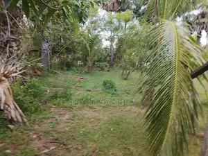 காணி விற்பனைக்கு - Kalmunai