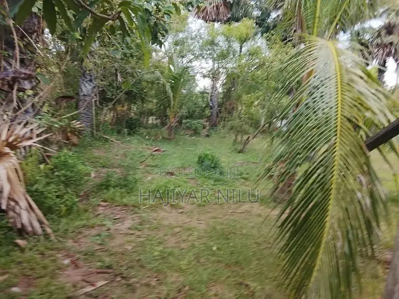 காணி விற்பனைக்கு - Kalmunai