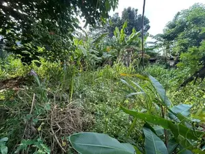 Residential Land For Sale In Thalawathugoda Talawatugoda