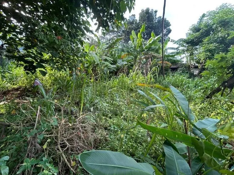 Residential Land For Sale In Thalawathugoda Talawatugoda