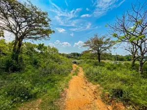 Beach Land for Sale In Ranna - Tangalle