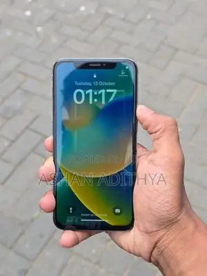 Apple iPhone X 256GB (Used)