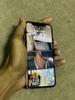 Apple iPhone XS 256GB (Used)