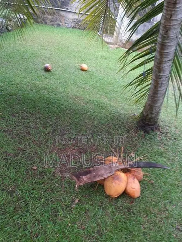 Land For Sale - Kesbewa