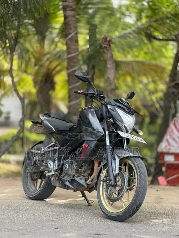 Bajaj Pulsar NS200 2019