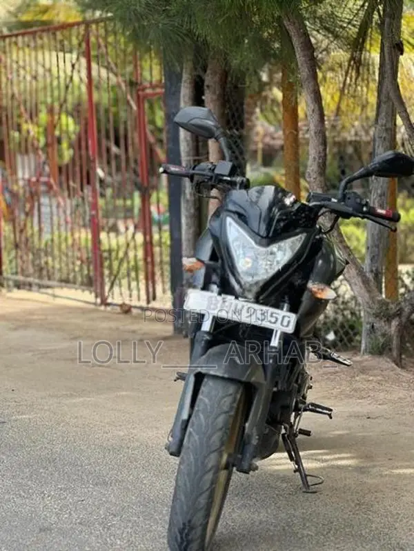 Bajaj Pulsar NS200 2019