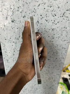 Apple iPhone 16 Pro 256GB (Used)