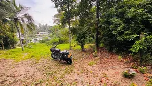 Kadawatha Ganemulla Road Excellent Land for Sale