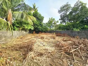 Commercial 10 P Bare Land For Sale