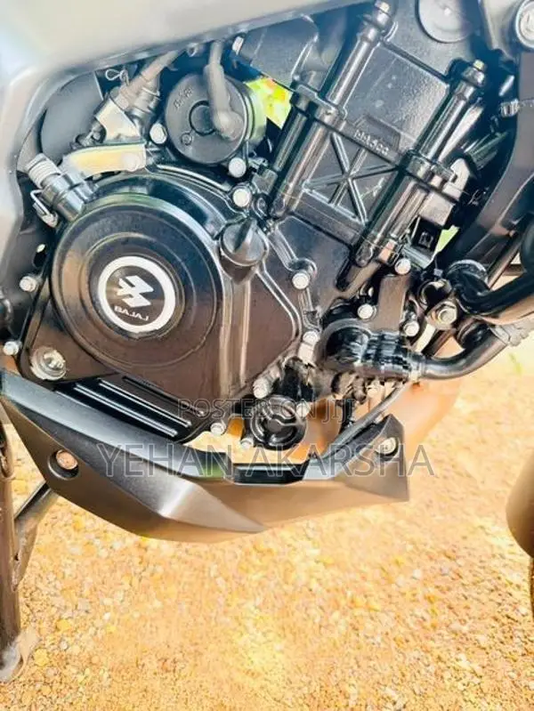 Bajaj Pulsar NS200 2024