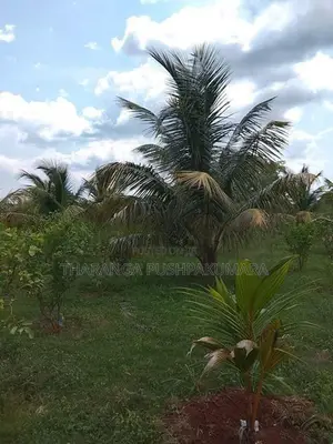 ඉඩමක් විකිණීමට අනුරාධපුර