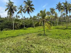 Beachfront Land For Sale IN Ahangama