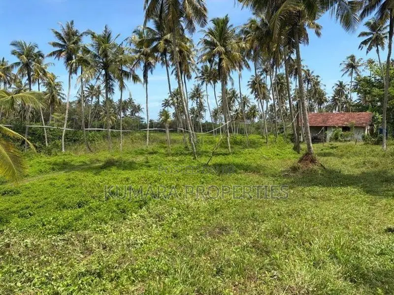 Beachfront Land For Sale IN Ahangama