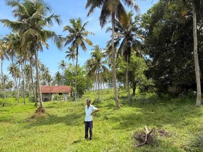 Beachfront Land For Sale IN Ahangama