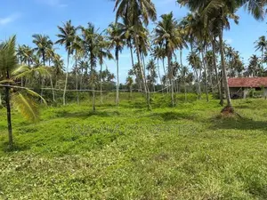 Beachfront Land For Sale IN Ahangama