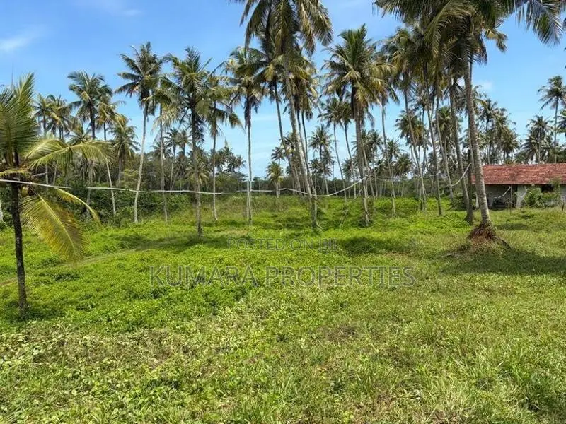 Beachfront Land For Sale IN Ahangama