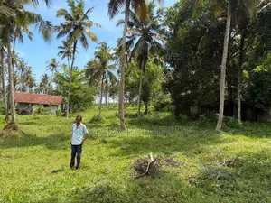 Beachfront Land For Sale IN Ahangama