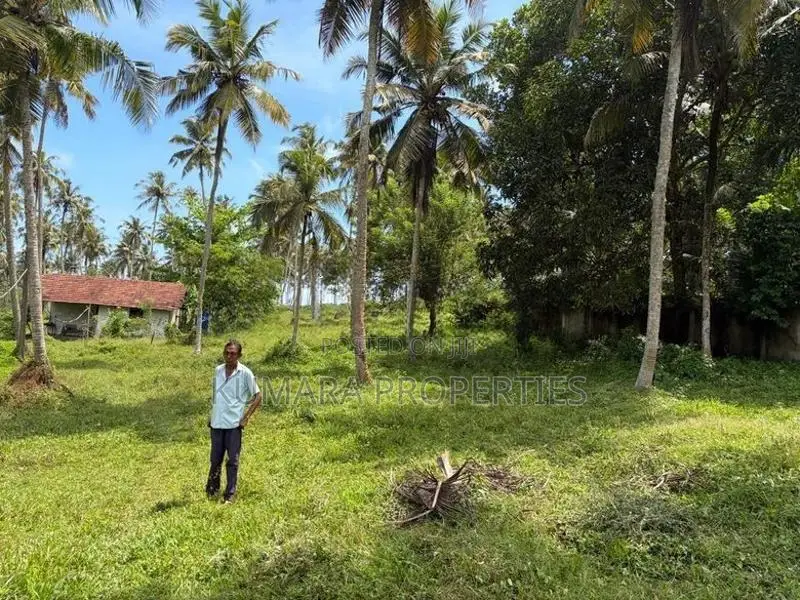 Beachfront Land For Sale IN Ahangama