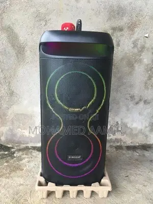 Singer Speaker Set