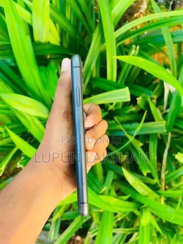 Apple iPhone 11 (Used)