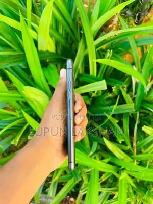 Apple iPhone 11 (Used)