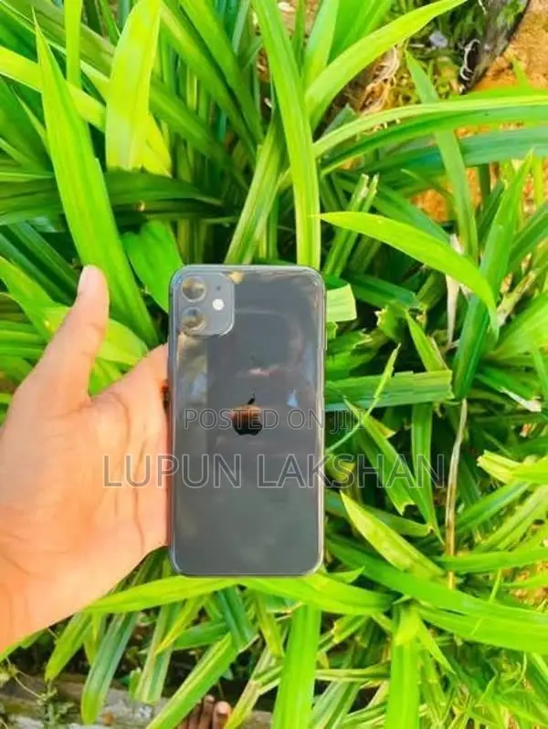Apple iPhone 11 (Used)