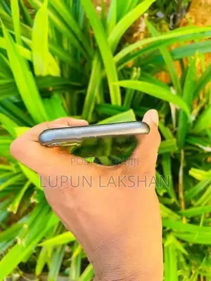 Apple iPhone 11 (Used)