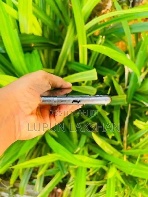 Apple iPhone 11 (Used)
