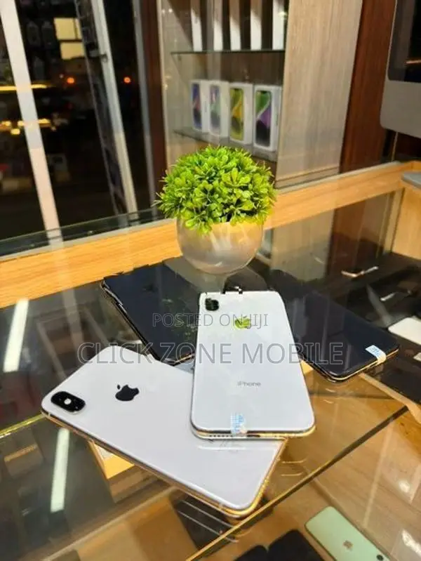 Apple iPhone X 256GB (Used)