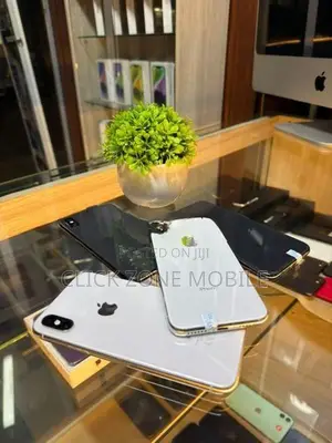 Apple iPhone X 256GB (Used)