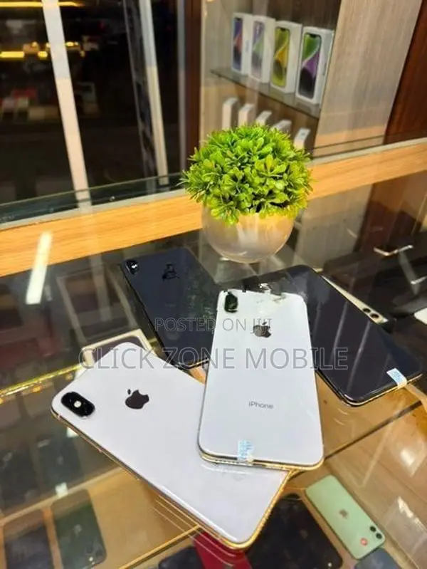 Apple iPhone X 256GB (Used)
