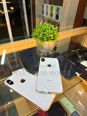 Apple iPhone X 256GB (Used)