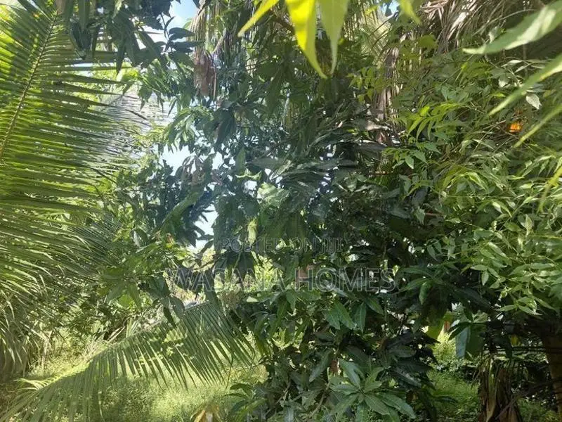 Best Land for Sale Borelesgamuwa