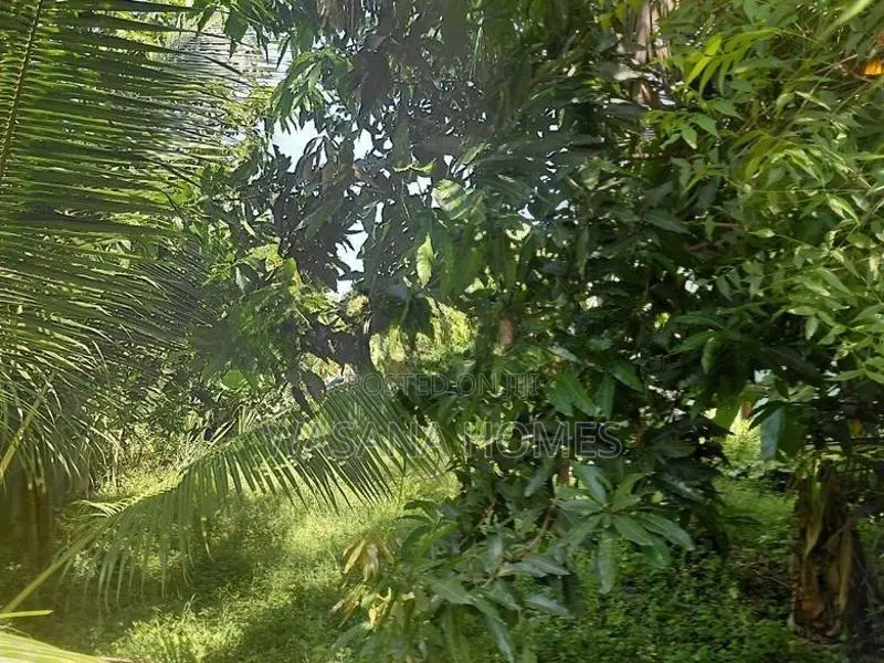 Best Land for Sale Borelesgamuwa
