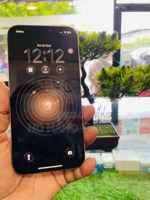 Apple iPhone 12 Pro Max 5G 256GB (Used)