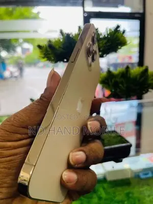 Apple iPhone 12 Pro Max 5G 256GB (Used)
