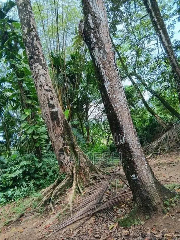 House with Land for Sale Agalawatta