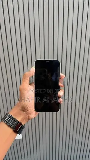 Apple iPhone 12 (Used)