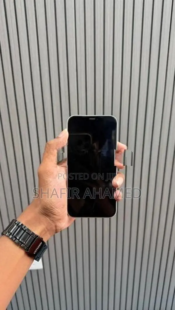 Apple iPhone 12 (Used)