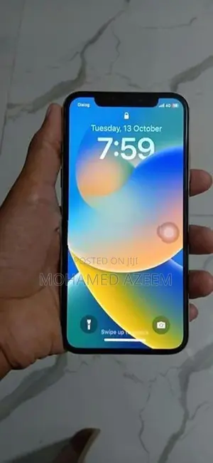 Apple iPhone X (Used)
