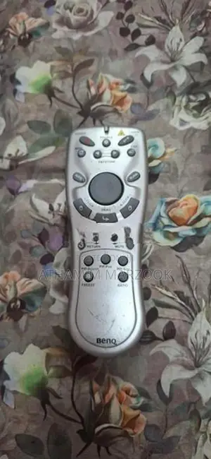 Projecter