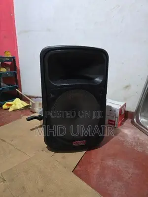Asian 15" Speaker