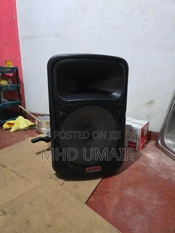 Asian 15" Speaker