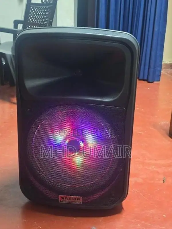 Asian 15" Speaker