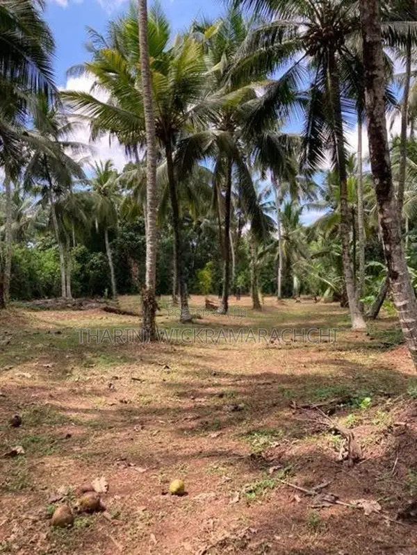 Land for Sale Divulapitiya