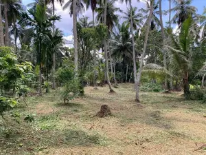 Land for Sale Divulapitiya
