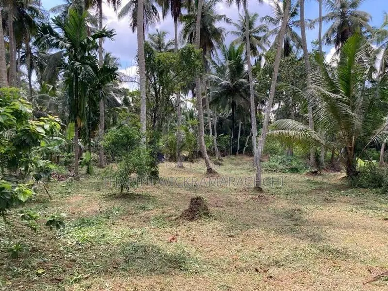 Land for Sale Divulapitiya