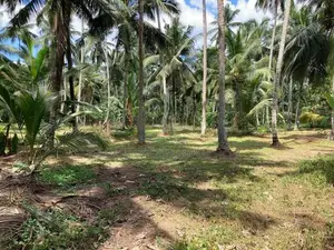 Land for Sale Divulapitiya
